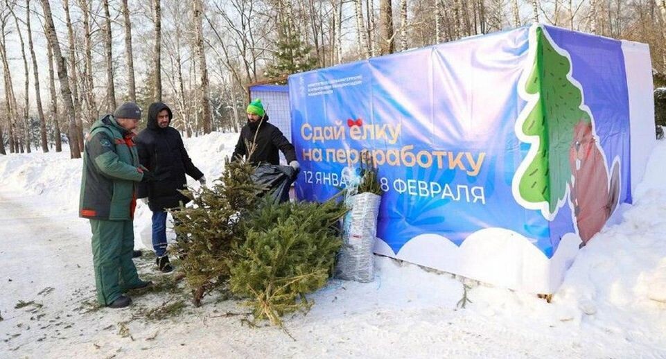    t.me/alexey_korolev_live