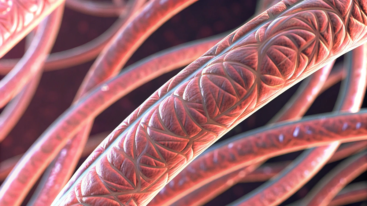    В ступнях расположены артериовенозные анастомозы