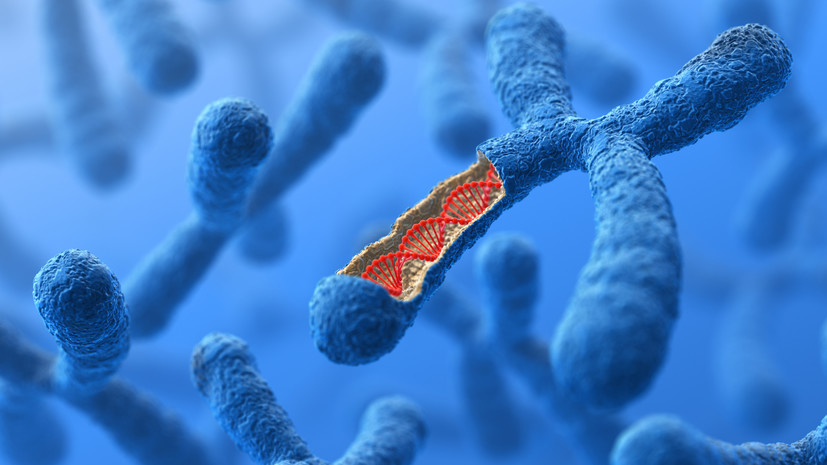   Gettyimages.ru BlackJack3D