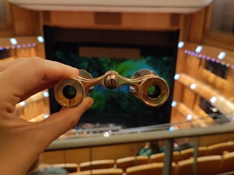     Фото: архив МК в Питере.