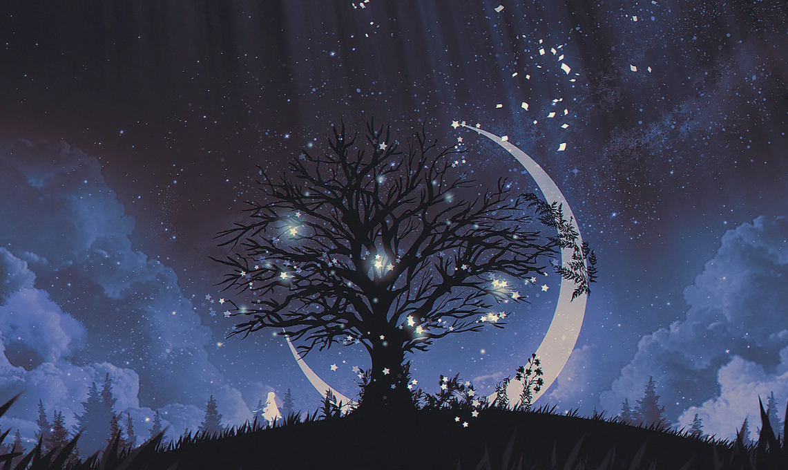 картинки Яндекс