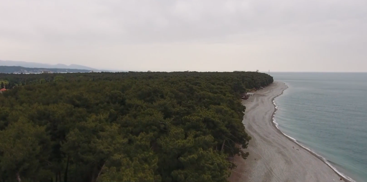    фото: Сочи24