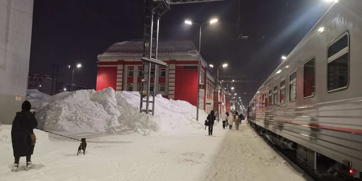 Путешествие на поезде @Domsad777 