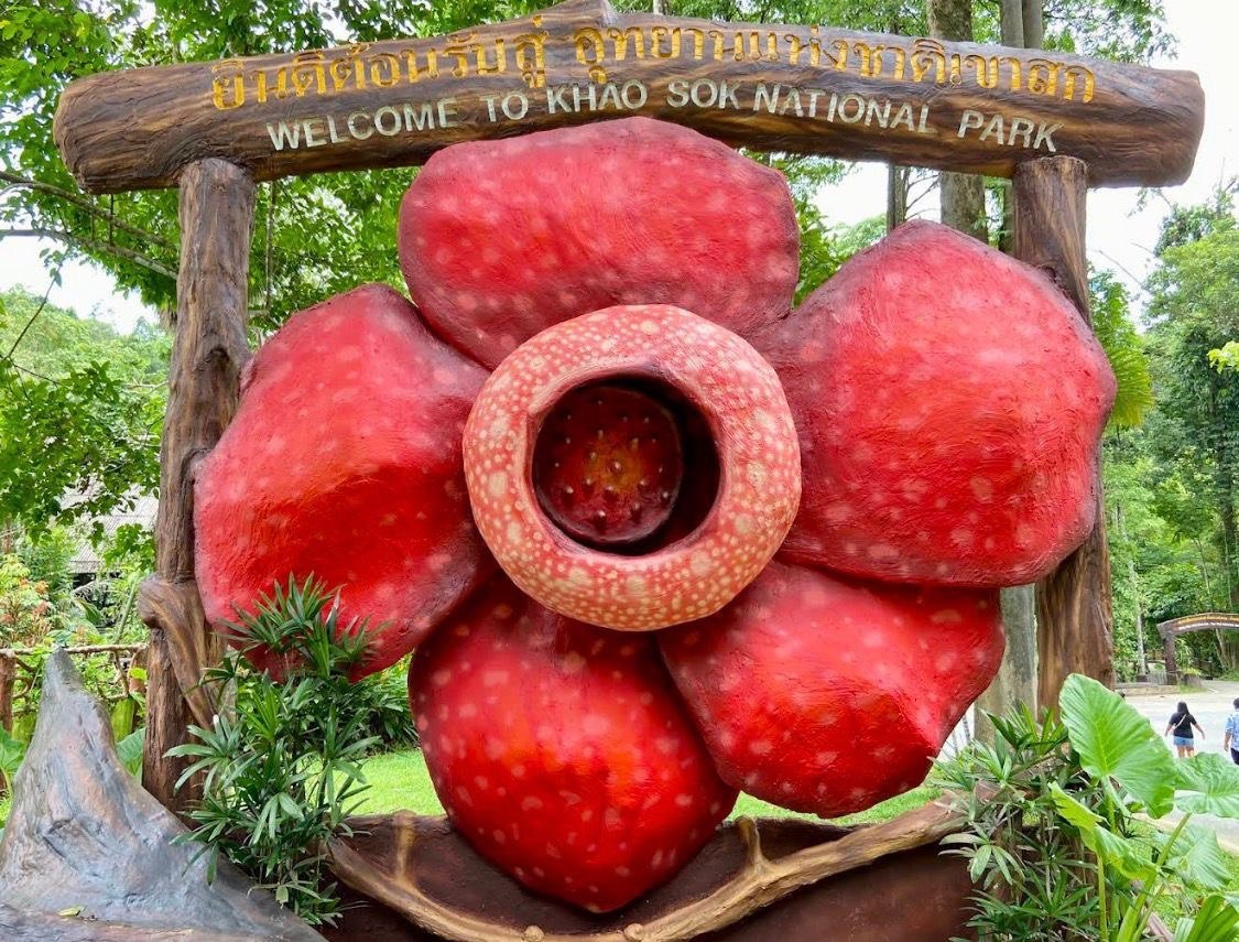 Вход в национальный парк Кхао Сок 