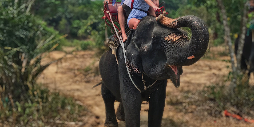 8 удивительных привычек тайских жителей