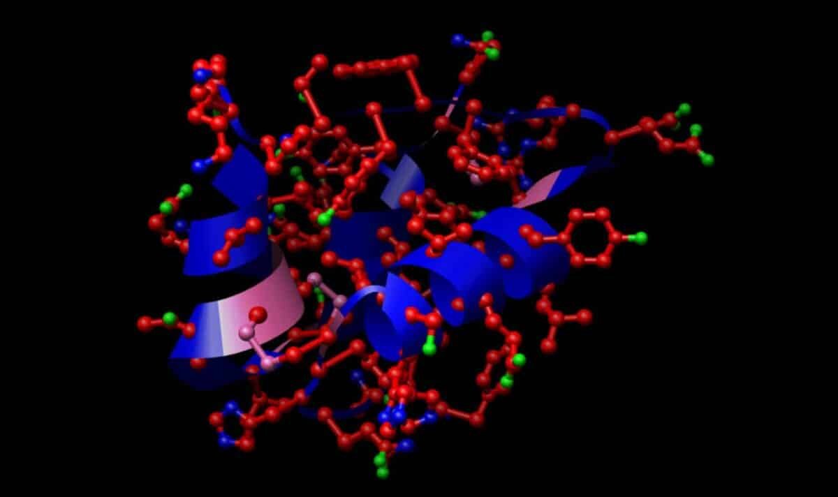    Модель инсулина / © Computer Graphics Laboratory, University of California, San Francisco