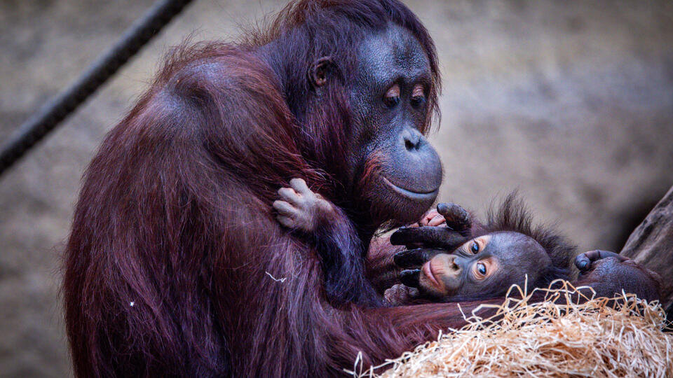 Фото: © Jens Büttner/dpa/picture-alliance/TASS