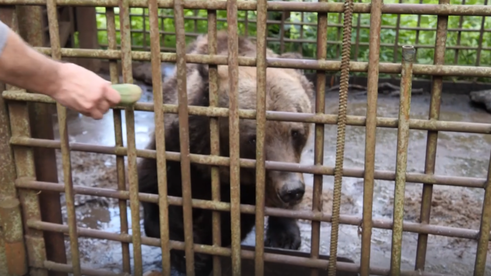 ФОТО: Кадр из программы "Как устроен мир", РЕН ТВ