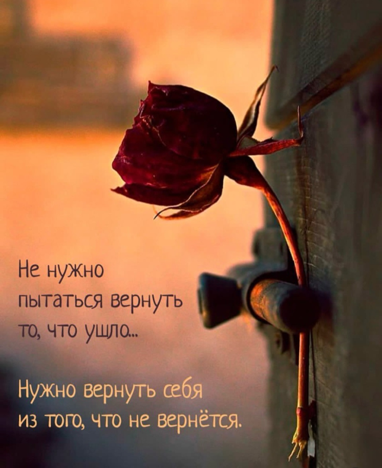 Изображение взято из открытых источников