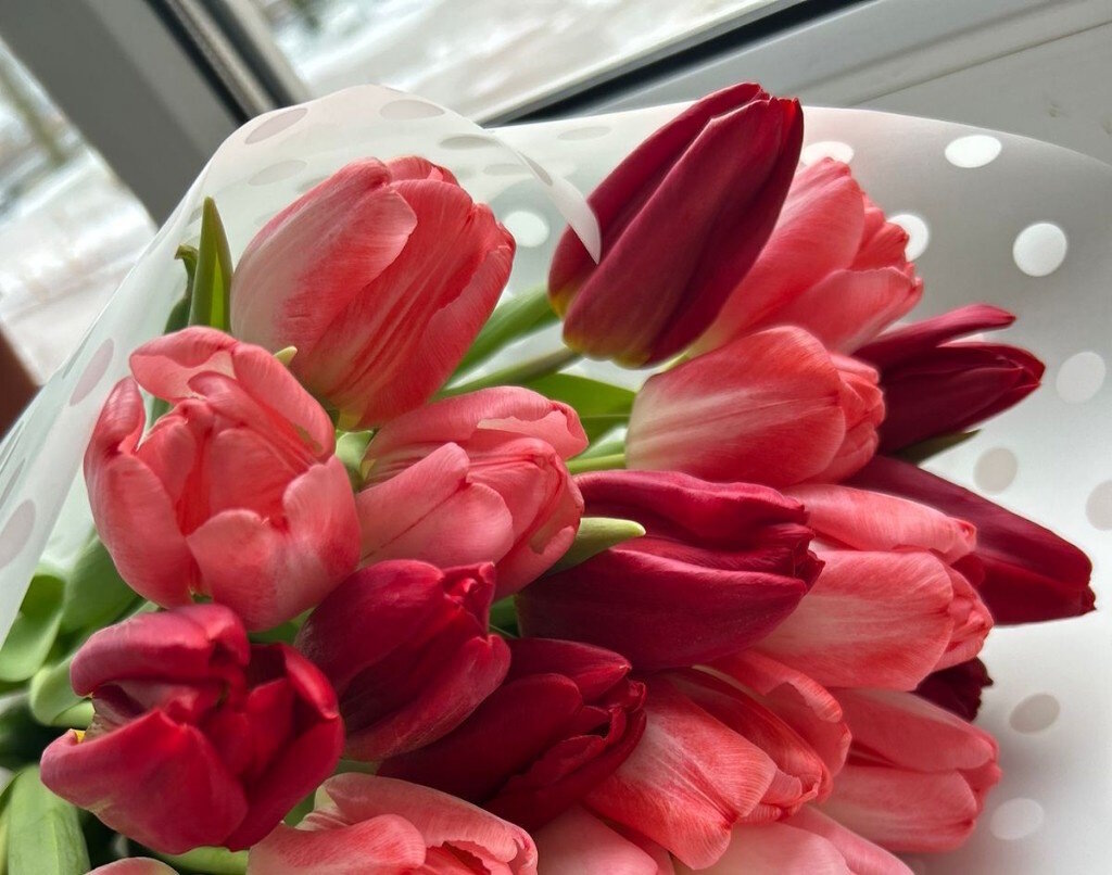    Проект по производству цветов реализуют в «Тепличном» в рамках политики импортозамещения. Источник фото: tambov.gov.ru.