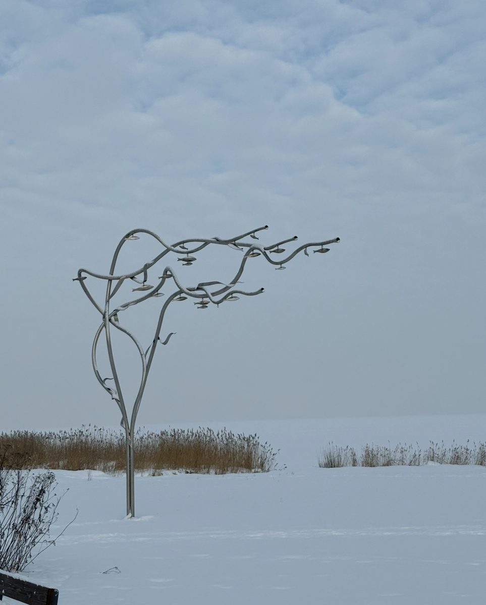 Дерево с рыбками — моя любовь по понятной причине 