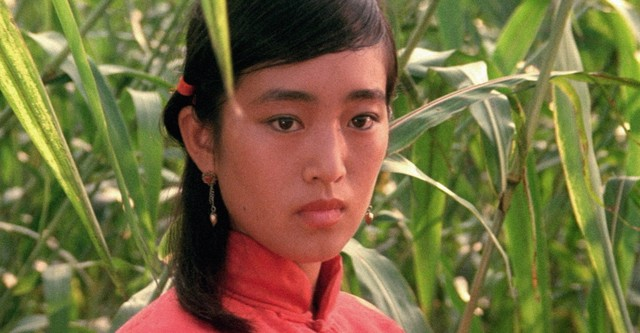 Красавица Гун Ли в экранизации 