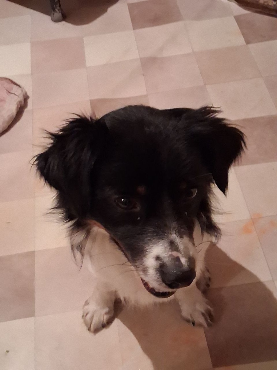 Главный шалун Тимофей