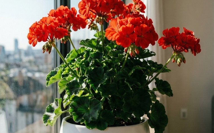    Фото: Медведева Анна, AgroXXI.ru