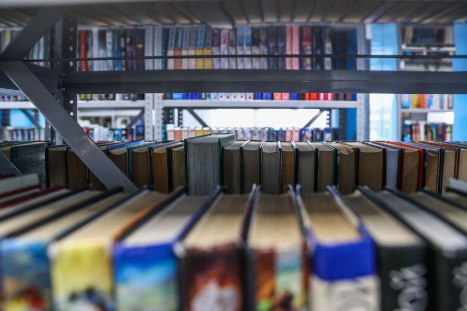    Сергей Булкин/NEWS.ru