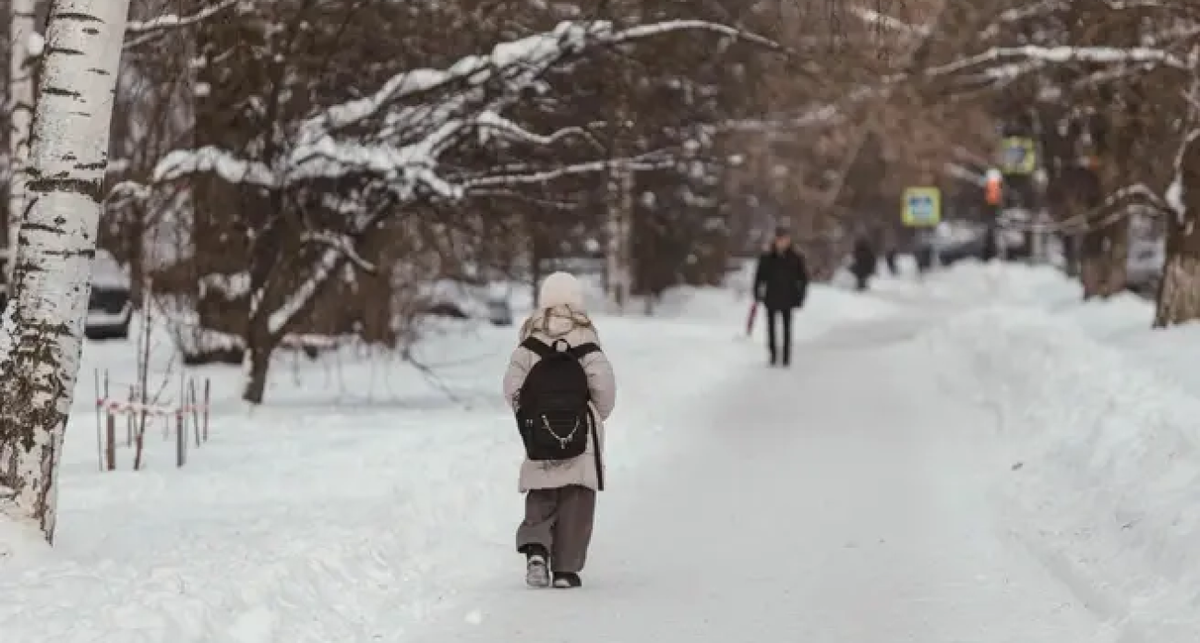    Артем Бауман / 76.RU с сайта n1s1.hsmedia.ru