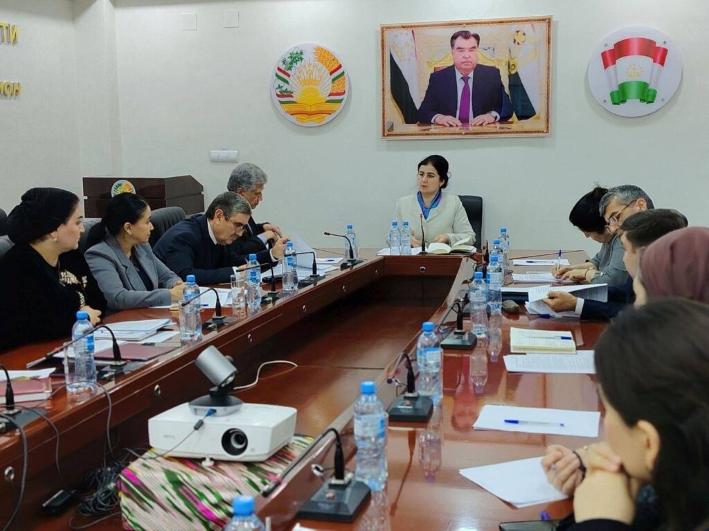 Фото: Комитет по делам женщин и семьи при Правительстве Республики Таджикистан