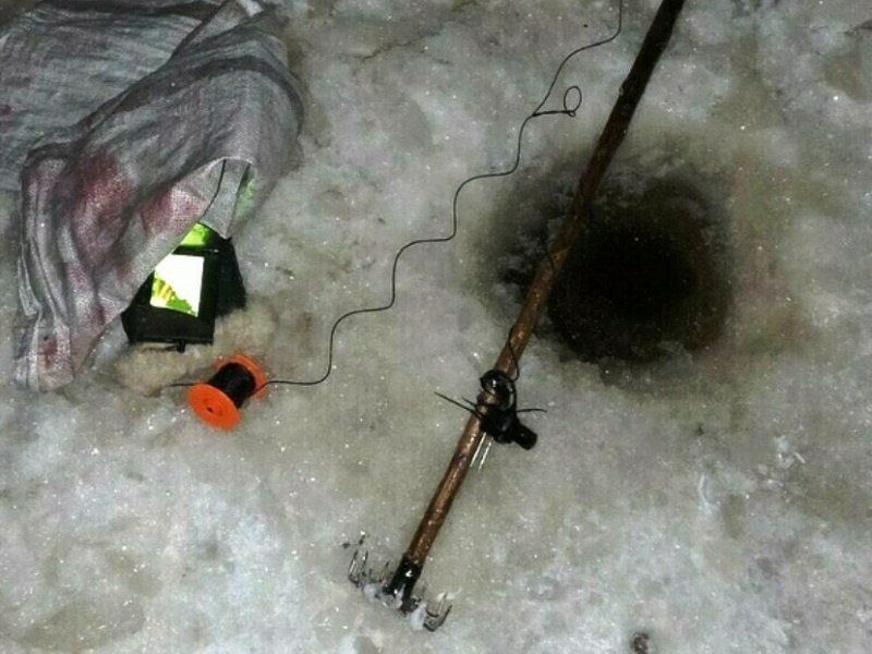 Багрушка. Фото: Северо-Западное ТУ ФАР