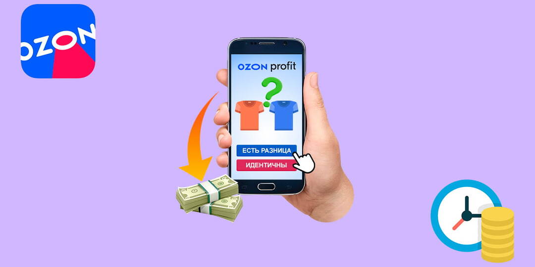 Озон Профит — обзор онлайн-платформы для удаленного заработка на простых заданиях