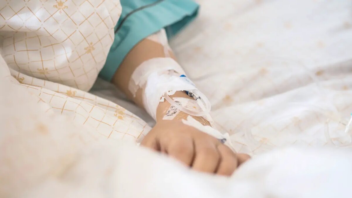    Фото: vm.ru Богдан Жуков