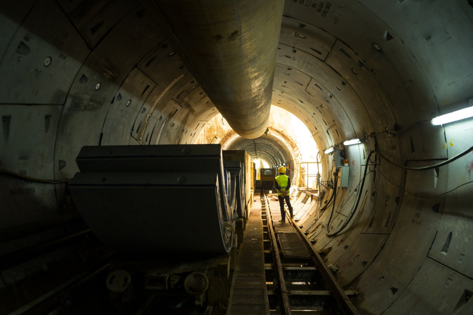    Shutterstock/FOTODOM