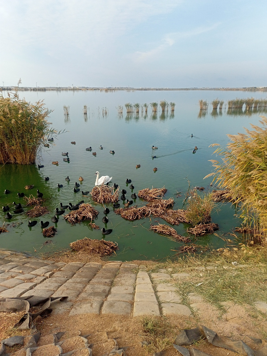 Фото автора.