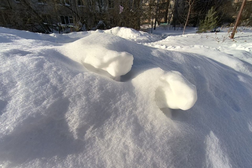   Анна КОВАЛЁВА