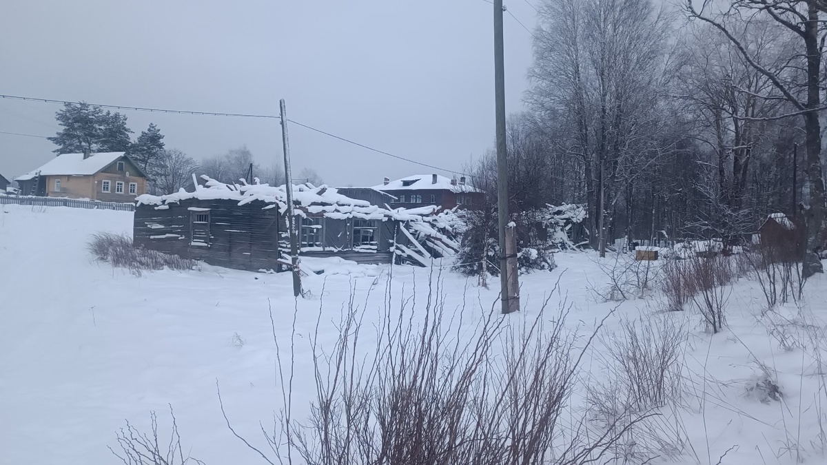    фото: © ВЕДЛОЗЕРО - ДЕРЕВНЯ МИРОВОГО МАСШТАБА