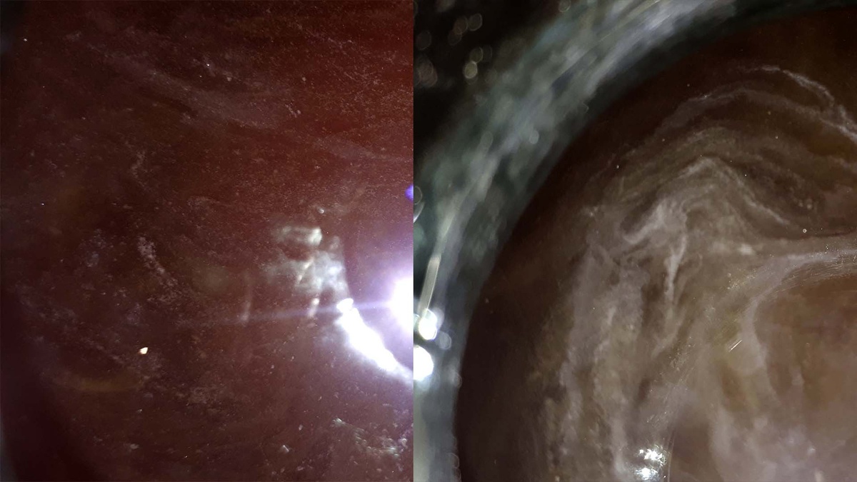 Сгустки или хлопья коллоидного характера. Брендовискас часть 1.