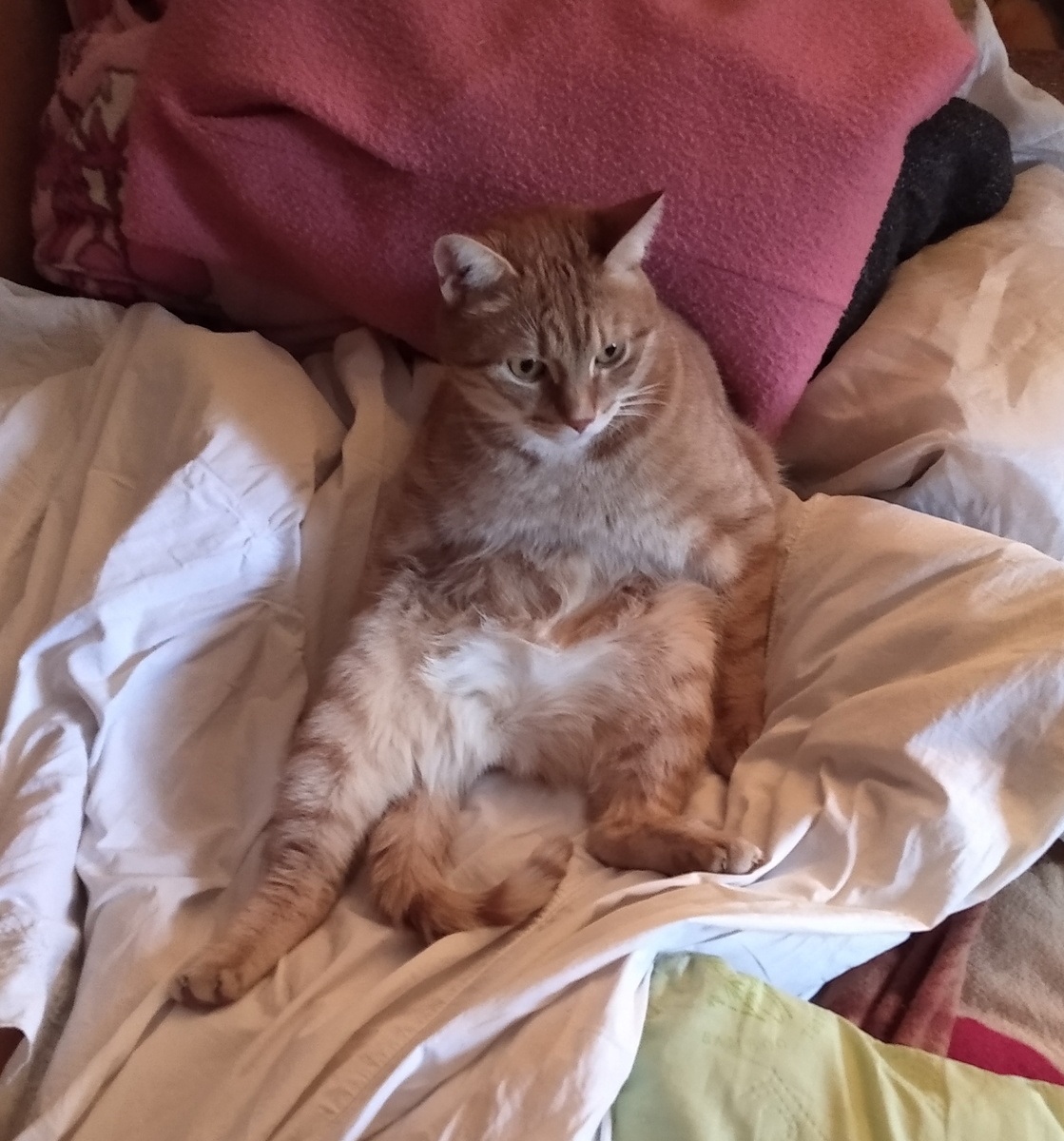 личное  фото