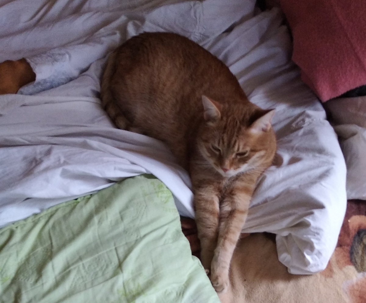 личное  фото