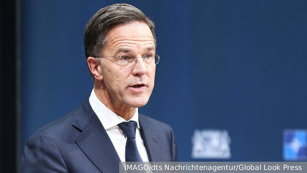     Фото: IMAGO/dts Nachrichtenagentur/Global Look Press   
 Текст: Елизавета Шишкова