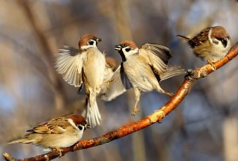 Фото: материалы сайта livt.net