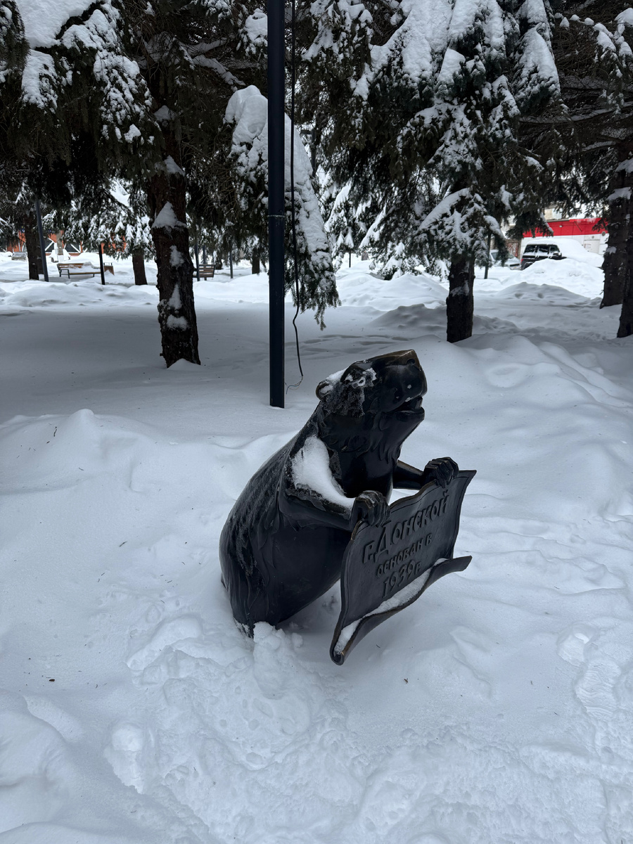 Бобёр в сквере Бобра. 