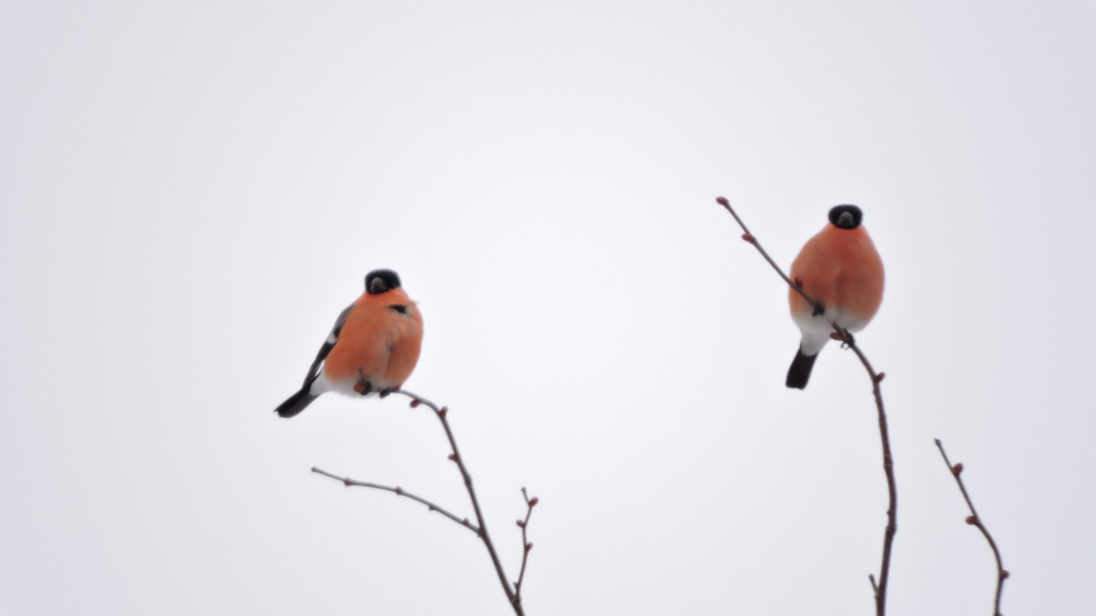Все фотографии автора канала