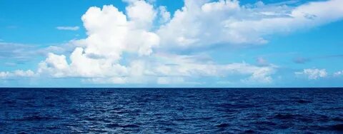 Картинка из интернета.