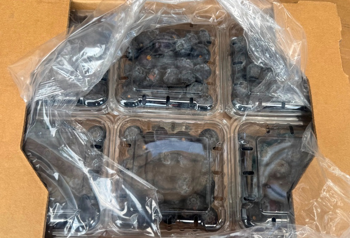 фото: Пресс-служба Северо-Западного межрегионального управления Россельхознадзора