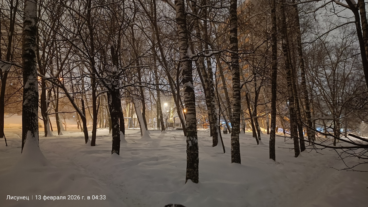 Снег идёт второй день. Фото автора
