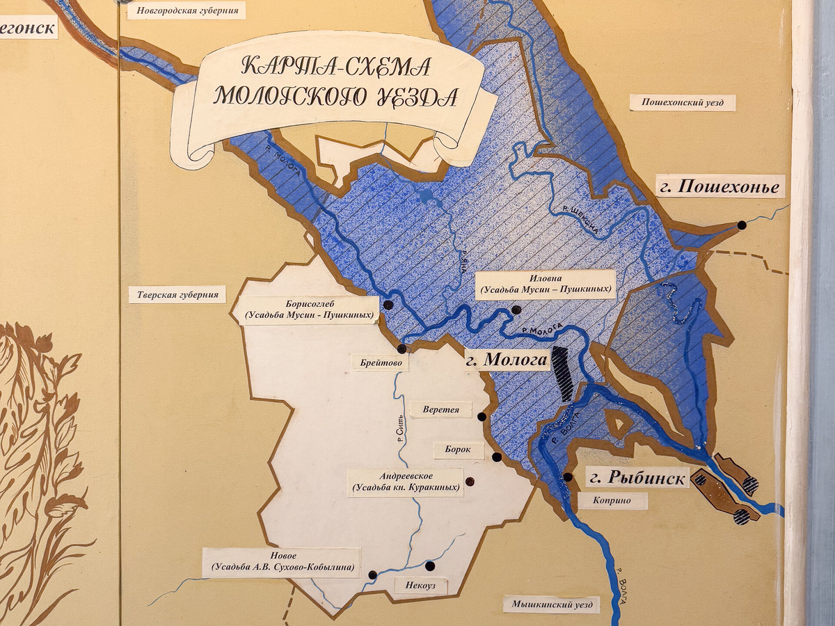 Схема Мологского уезда. Музей Мологского края. Автор фото: Елена Лисейкина