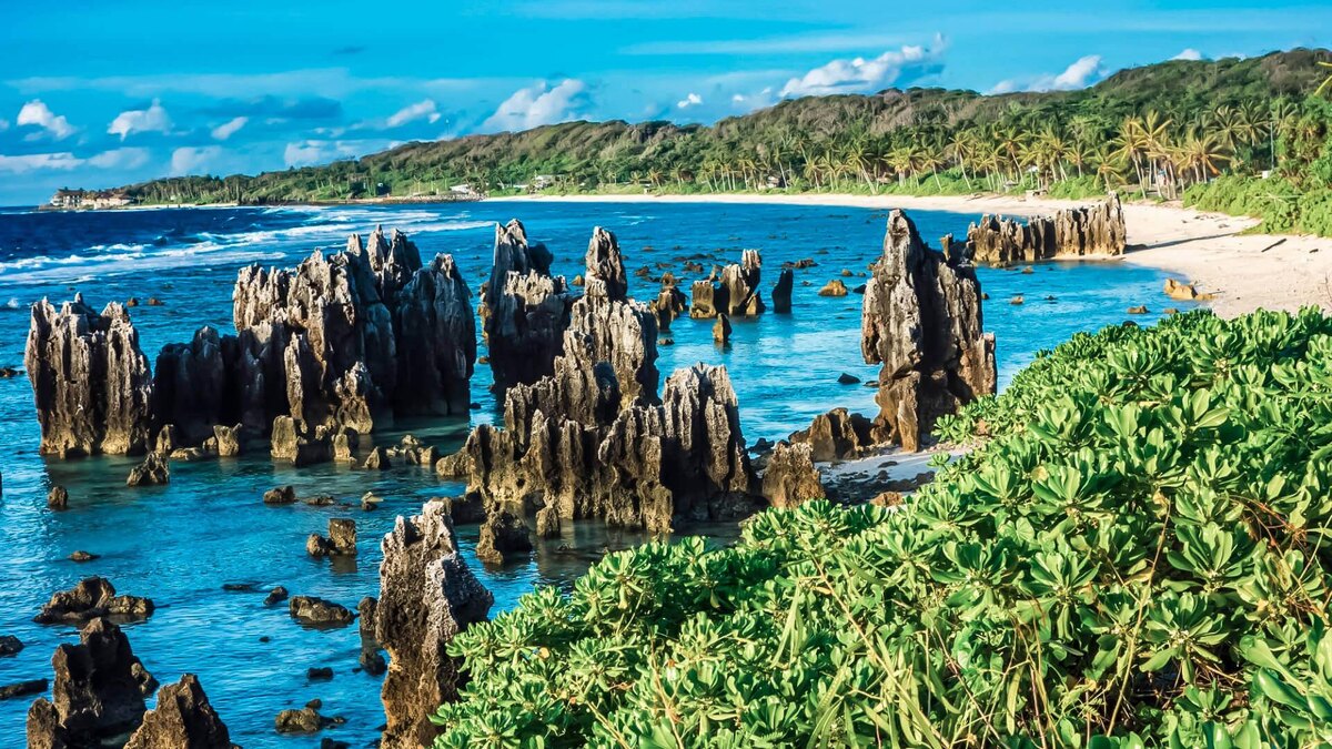 Источник wallpaperaccess.com