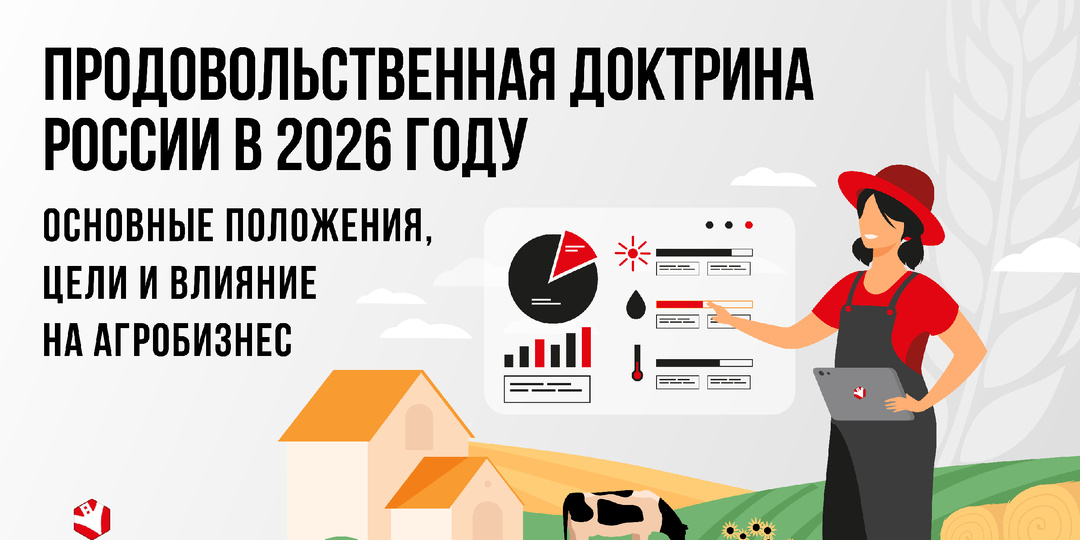 Продбез по-русски. Как государство решает вопросы аграрного суверенитета