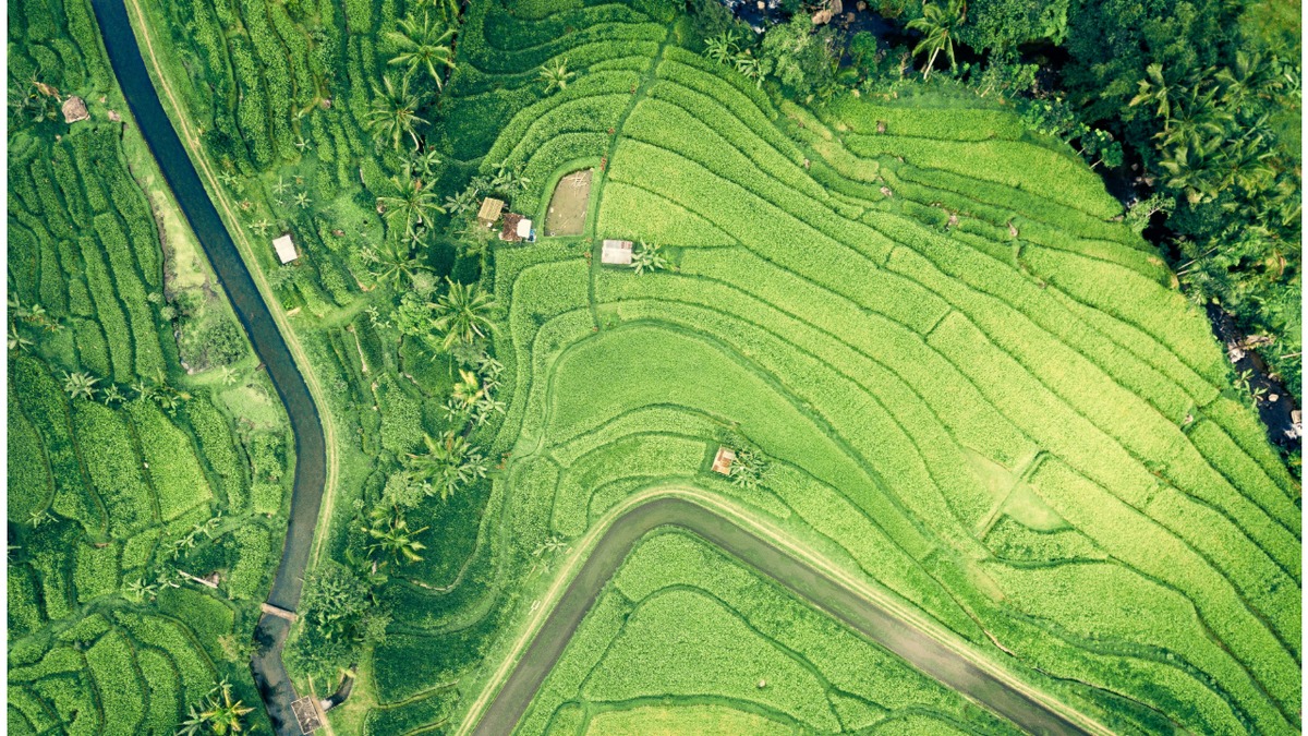 Ирригация - это не романтика. Это инженерия выживания