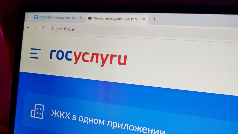 Новый сервис поиска через Госуслуги: как работает новый цифровой поиск людей, запущенный МВД