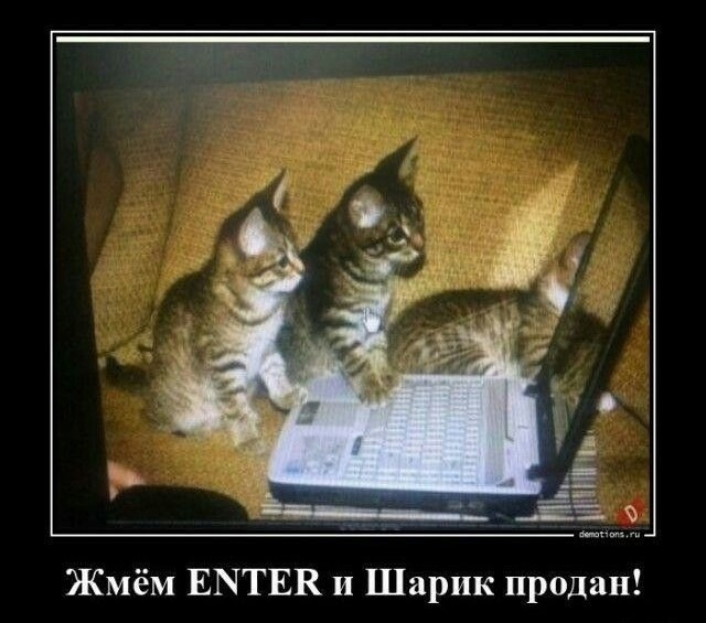 Смех из социальных сетей! Забавные шутки, забавные случаи и веселые рассказы. Фото взято из общедоступных ресурсов соцсетей