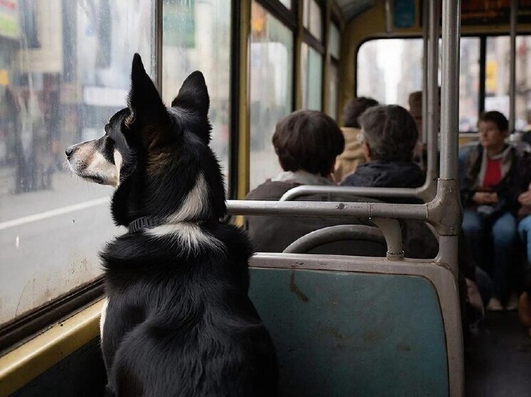     Фото: Нейросеть