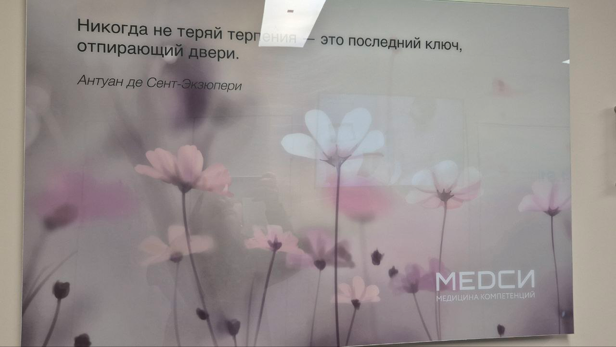 Никогда не теряй терпения...