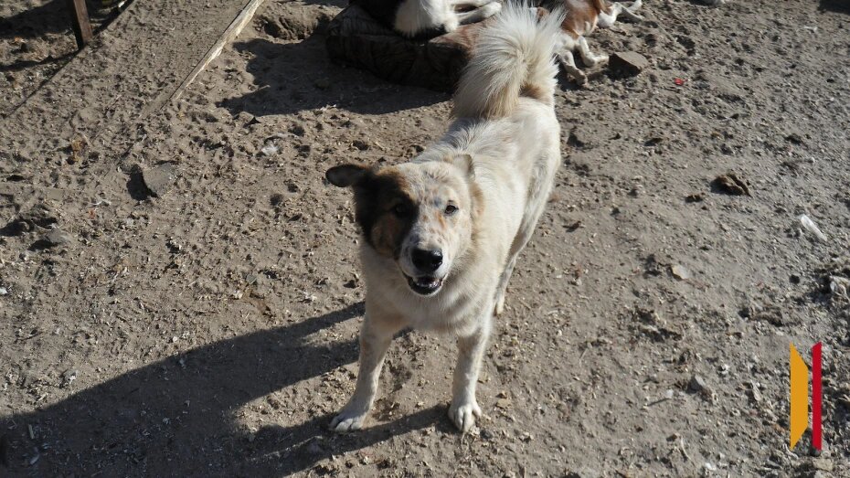    Автор фото: Михаил Кирьянов (из архива)