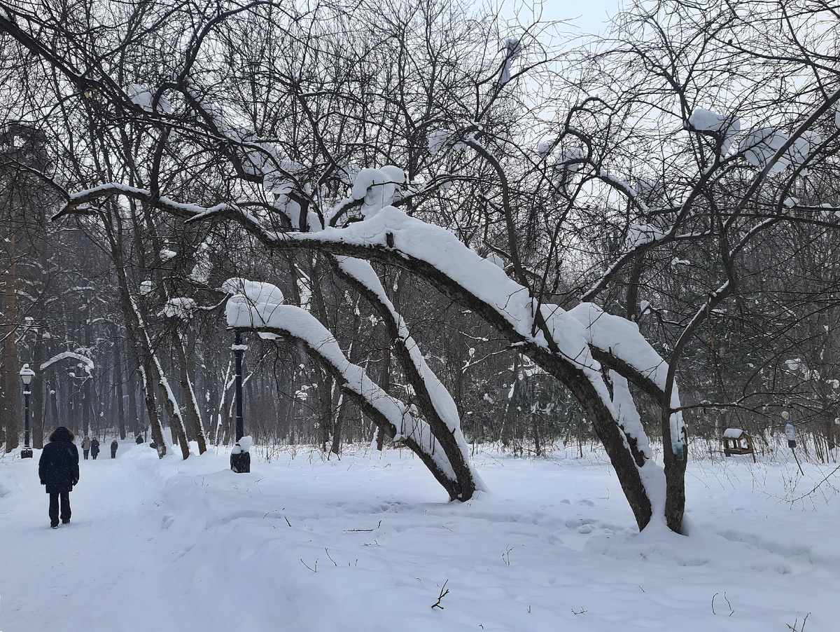 В Царицынском парке. Все фотографии в статье мои