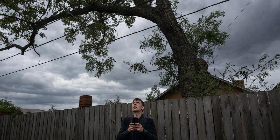 С кем согласовывать работы по расчистке участка?