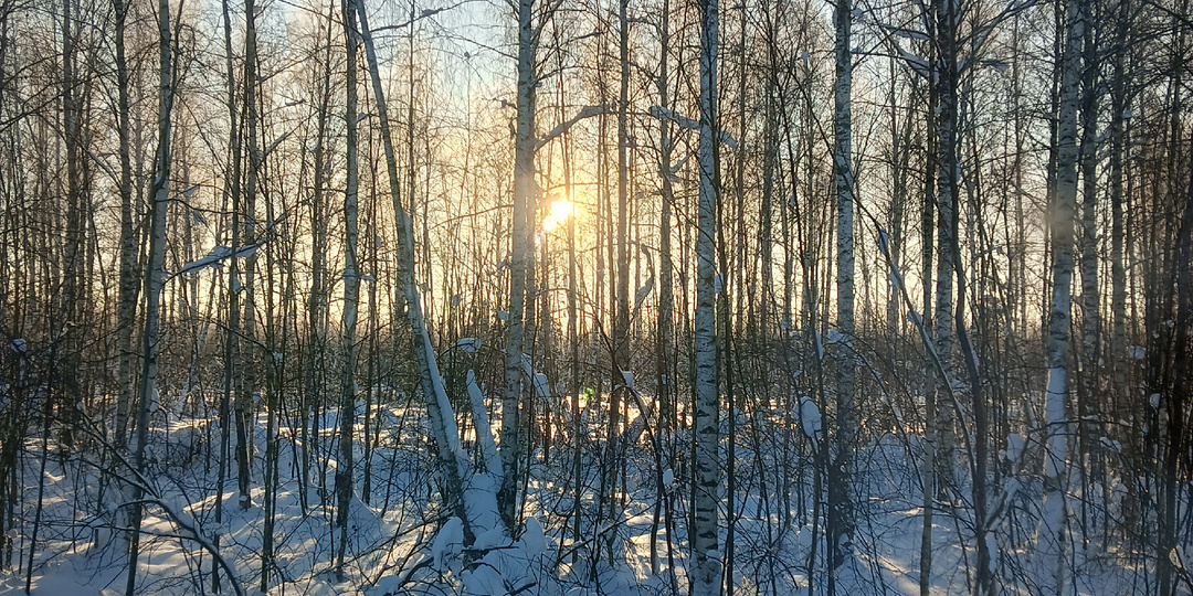 ☘️С чего начать перемены в отношениях? Как выйти из позиции жертвы?